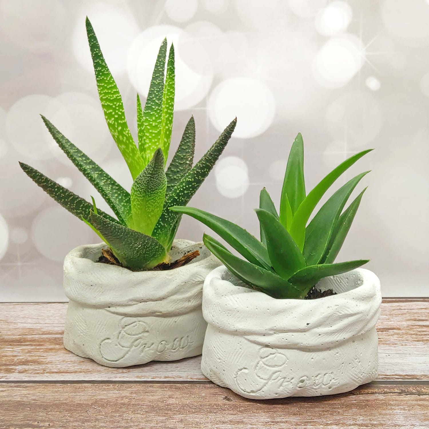 Moderne Glas Vase 24cm - Bohème Blumenvasen Für Tischdekoration Und Mittelstücke