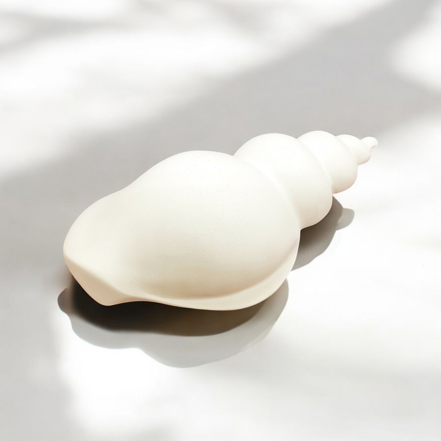 Große Natur-Muschel 29-31cm - Trompetenmuschel Für Deko & Partys