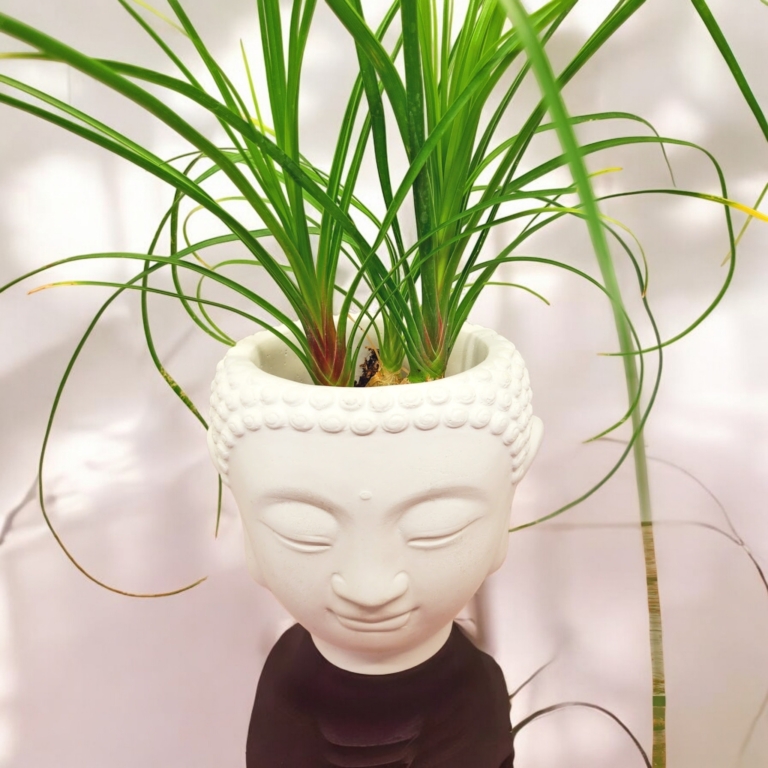 Buddha als Pflanzentopf aus Beton spirituelle Oase für Pflanzen