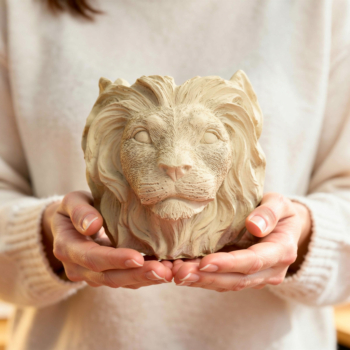 Individuelle Betonkunst: Erhalte Löwe Pflanzentopf aus Beton in unserem Sortiment Löwe Pflanzentopf aus Beton