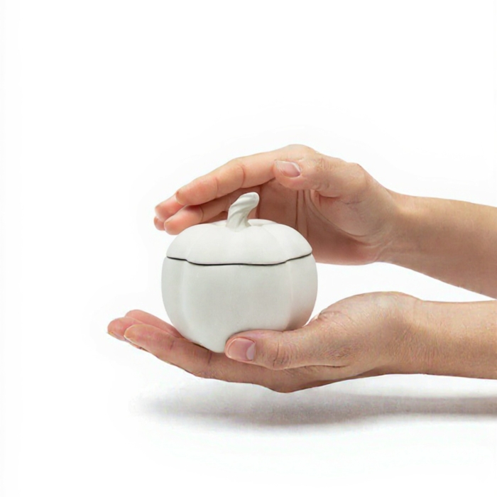 Kürbis-Dose aus Beton aus Beton