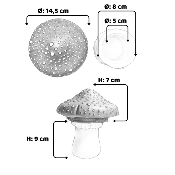 Zeitlose Betondekoration: Entdecke Fliegenpilz als Dose aus Beton hier Fliegenpilz als Dose aus Beton